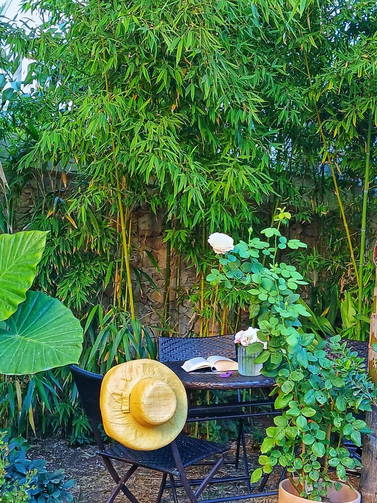 Wunderkammer B&B Pulsano Εξωτερικό φωτογραφία